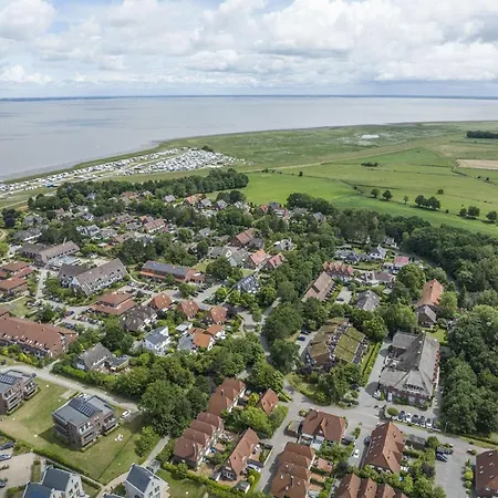 Kiebitznest *