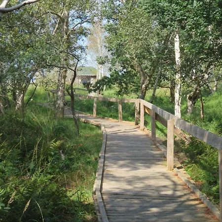 Kiebitznest *